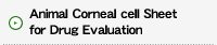 Animal Corneal Cell Sheet for Drug Evaluation