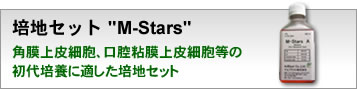 |nZbg"M-Stars"